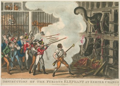 Zerstörung des wütenden Elefanten bei Exeter Change, 1826 von George Cruikshank