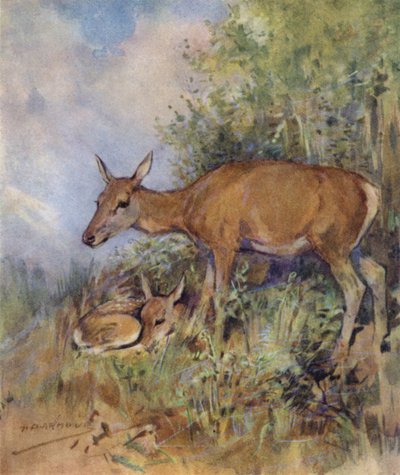 Illustration für 