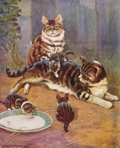 Nell war eine schöne getigerte Katze von George Derville (after) Rowlandson