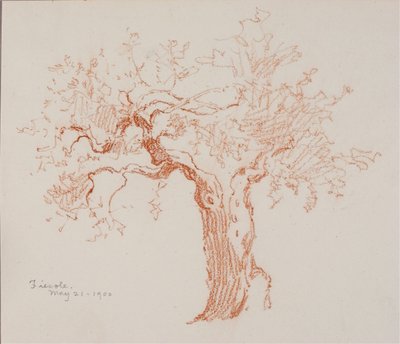 Fiesole von George Elbert Burr