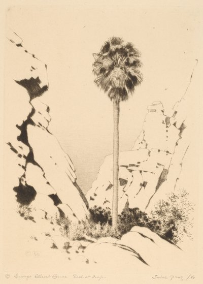 Palm Canyon (Nr. 1) von George Elbert Burr