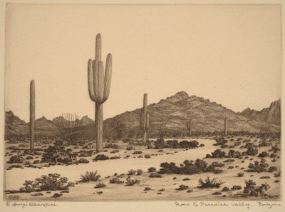 Straße zum Paradies-Tal, Arizona von George Elbert Burr
