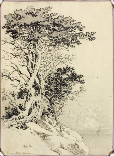 Ohne Titel (Zeichnung für Druck) von George Elbert Burr