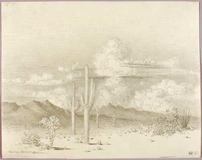 Ohne Titel (Übertragungszeichnung für Abend, Paradise Valley, Arizona) von George Elbert Burr