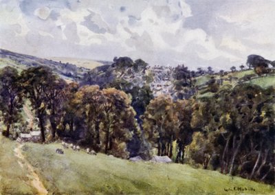 Camelford von George Franck Nicholls