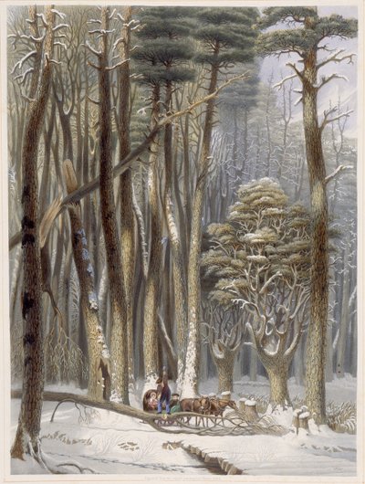 Winter, Behinderte Reisende in einem Kiefernwald, aus Harveys Scenes of the Primitive Forest of America, 1841 von George Harvey