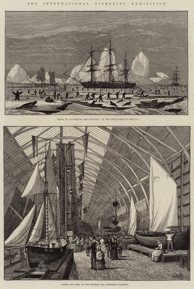 Die Internationale Fischereiausstellung von George Henry Andrews