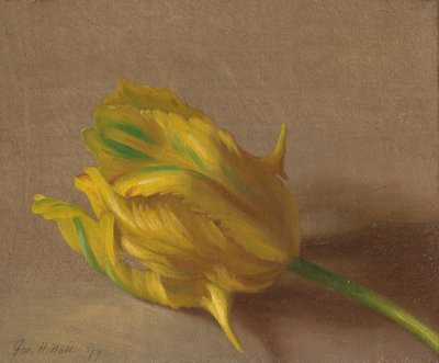 Tulpe von George Henry Hall