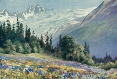 Glockenblume und andere Juli-Blumen am Col Des Montets von George Jackson Flemwell