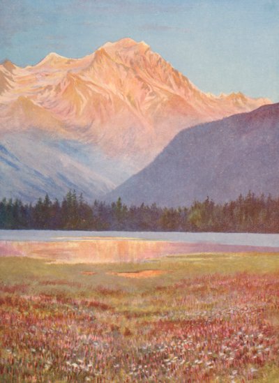 Abend unter den Feldern von rosa Bistort am Lac Champex; Sonnenuntergangsglühen auf dem Grand Combin, Juli von George Jackson Flemwell
