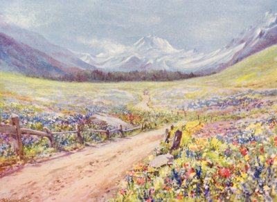 Juniwiesen von Salvia, Lychnis usw. im Val Ferret, kurz vor dem Dorf Praz de Fort von George Jackson Flemwell