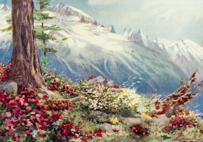 Mont Blanc und die Aiguille Du Midi, Blick von oberhalb von Argentiere (Farblithographie) von George Jackson Flemwell