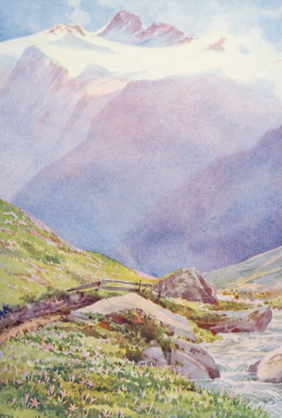 Der Herbst-Krokus auf den Feldern in der Nähe des Dorfes Trient, mit der Aiguille du Tour im Hintergrund, September (Farblithographie) von George Jackson Flemwell