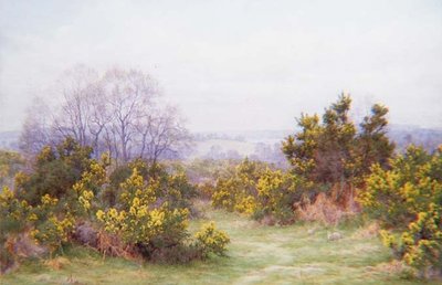 Eine Surrey-Heide von George Marks