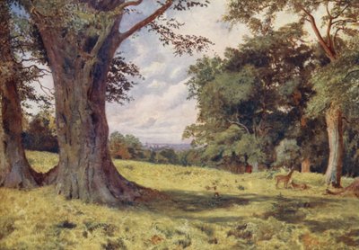 Eine Lichtung im Windsor Great Park von George Moore Henton