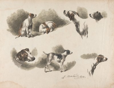 [Tiere] Sieben Studien eines Jagdhundes auf einem Blatt. „Jno. Harris“ auf dem Halsband des Jagdhundes unten links von George Morland
