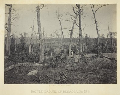 Schlachtfeld von Resacca, GA, Nr. 3 von George N. Barnard