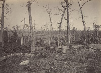 Schlachtfeld von Resacca, Georgia Nr. 3, 1860er Jahre von George N. Barnard