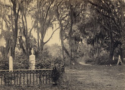  von George N. Barnard