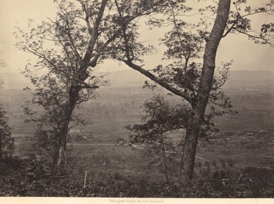 Obstgarten Knob von Mission Ridge von George N. Barnard