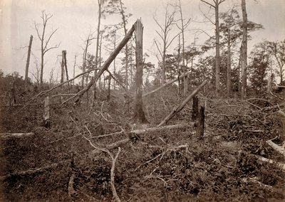 Die "Höllenloch", New Hope Church, Georgia, aus Fotografische Ansichten von Shermans Feldzug, Platte 27 von George N. Barnard