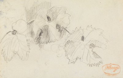 Studie von Blättern 1 von George Romney