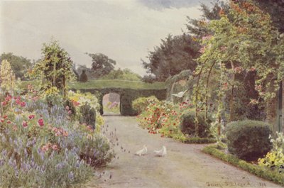 Chinarosen und Lavendel, Palmerstown von George Samuel Elgood