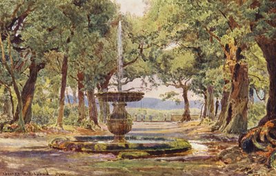 Italienische Gärten: Brunnen im Bosco, Villa Conti von George Samuel Elgood