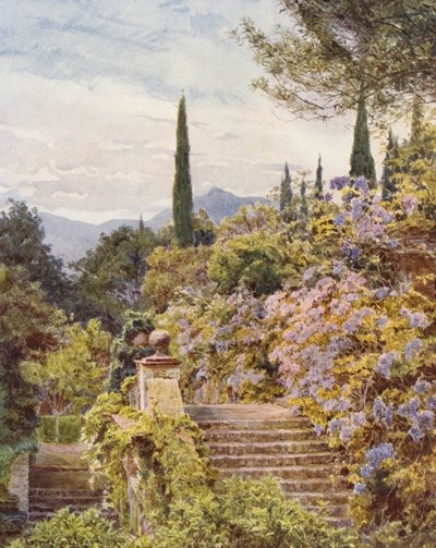 Italienische Gärten: Wisteria, Villa Cavagnaro von George Samuel Elgood