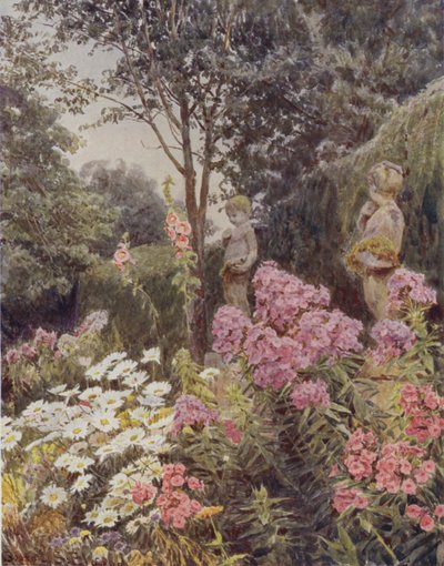 Phlox und Gänseblümchen von George Samuel Elgood