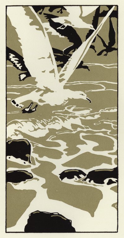 Vom Strand kam eine große weiße Möwe von George Sheringham