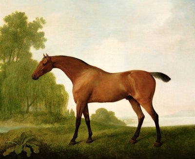 Ein brauner Vollblüter in einer Landschaft von George Stubbs