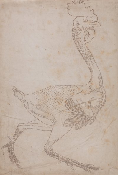 Vergleichende anatomische Darstellung des menschlichen Körpers mit einem Tiger und einem Haushuhn: Körper des Huhns, Seitenansicht (Wahrscheinlich zur Übertragung auf die Platte für die Gravur der Schlüsselfigur zu Tafel X vorbereitet) von George Stubbs