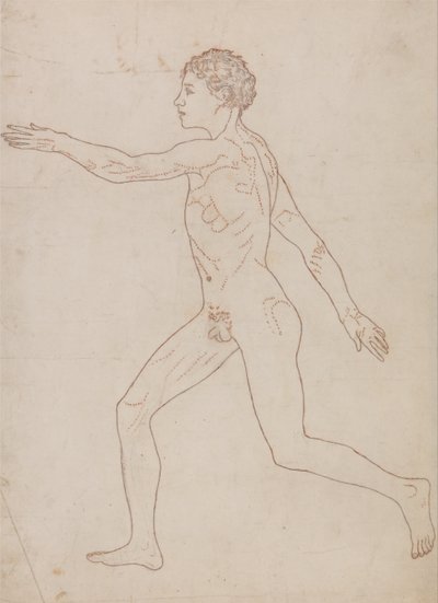 Vergleichende anatomische Darstellung der Struktur des menschlichen Körpers mit der eines Tigers und eines gewöhnlichen Huhns: Menschliche Figur, Seitenansicht (Umrissstudie) von George Stubbs