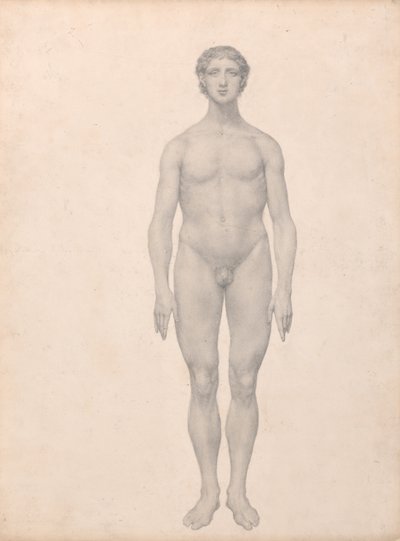 Vergleichende anatomische Darstellung der Struktur des menschlichen Körpers mit der eines Tigers und eines gewöhnlichen Huhns: Menschliche Figur, Vorderansicht, unzerlegt von George Stubbs