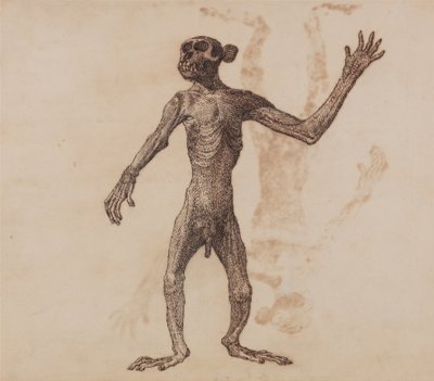 Vergleichende anatomische Darstellung der Struktur des menschlichen Körpers mit der eines Tigers und eines gewöhnlichen Huhns: Affe stehend, Vorderansicht von George Stubbs
