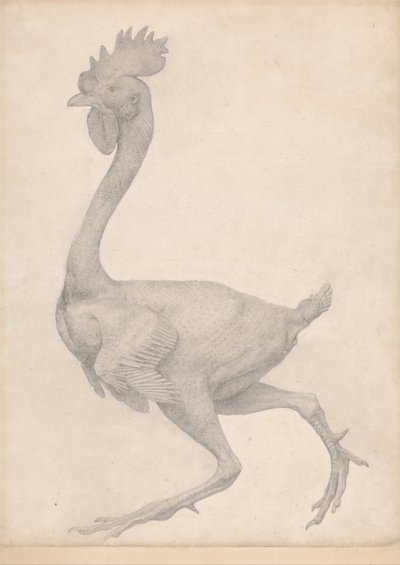 Vergleichende anatomische Darstellung der Struktur des menschlichen Körpers mit der eines Tigers und eines gewöhnlichen Huhns: Huhn, Seitenansicht mit den meisten entfernten Federn (Fertige Studie für Tafel X) von George Stubbs