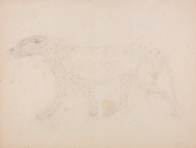Vergleichende anatomische Darstellung der Struktur des menschlichen Körpers mit der eines Tigers und eines gewöhnlichen Huhns: Tigerkörper, Seitenansicht (Studie der Muskeln) von George Stubbs