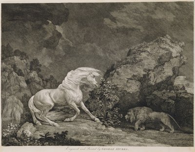 Ein Pferd erschreckt durch einen Löwen, graviert vom Künstler von George Stubbs
