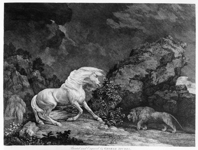 Ein Pferd erschreckt von einem Löwen, graviert vom Künstler, 1777 von George Stubbs