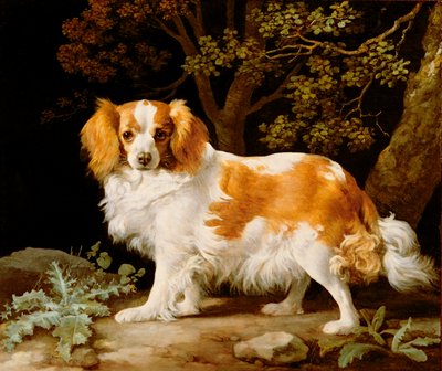 Ein Leber- und Weißer King Charles Spaniel in einer bewaldeten Landschaft von George Stubbs