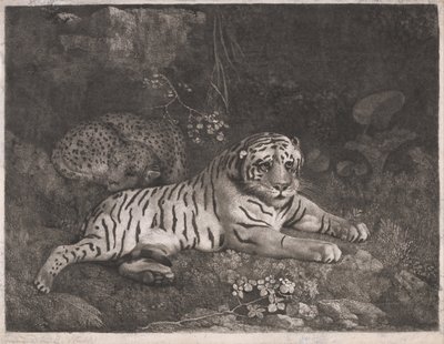 Ein Tiger und ein schlafender Leopard von George Stubbs