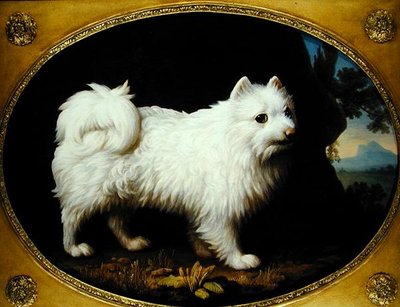 Ein weißer Spitz, ca. 1770 von George Stubbs