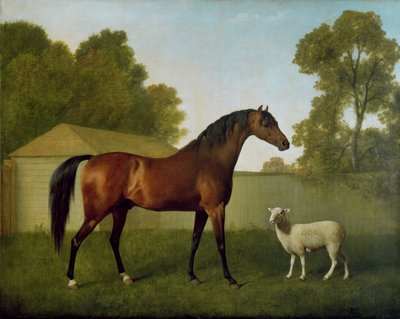 Dungannon, das Eigentum von Colonel O