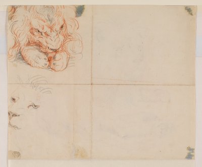 Kopf und Pfoten eines Löwen, verso, 18. oder 19. Jahrhundert von George Stubbs