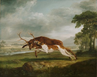Hund jagt einen Hirsch von George Stubbs