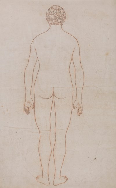 Menschlicher Körper, Rückansicht (Umrisszeichnung für Tafel VII) von George Stubbs