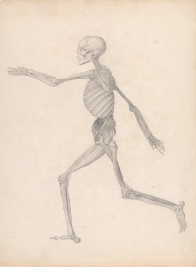 Menschliche Figur, Seitenansicht von George Stubbs
