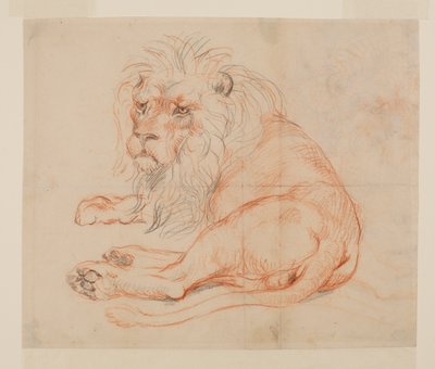 Ruhender Löwe, recto, 18. oder 19. Jahrhundert von George Stubbs