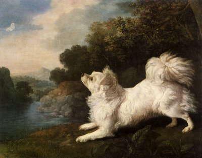 Spaniel des Malers Cosway jagt einen Schmetterling, 1775 von George Stubbs